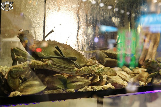 IMG_6727.jpg IMG_6727.jpg