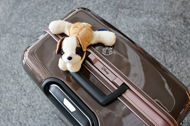 IMG_2900.jpg IMG_2900.jpg