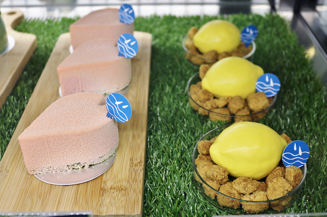 IMG_0542.jpg IMG_0542.jpg