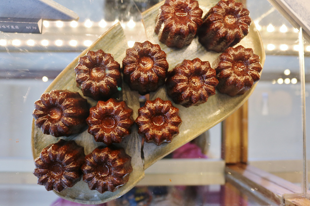 IMG_0556.jpg IMG_0556.jpg