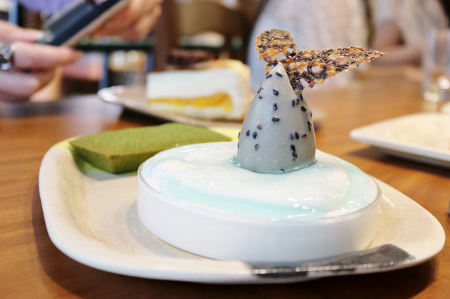 IMG_0601.jpg IMG_0601.jpg