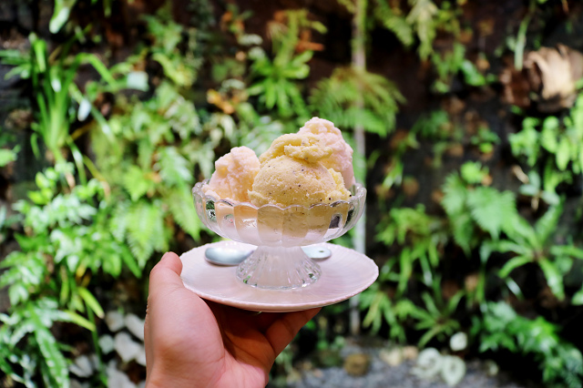 【台北美食】森林島嶼(富錦店) Gelato義式冰淇淋.台灣自然生態茶-民生社區富 【台北美食】森林島嶼(富錦店) Gelato義式冰淇淋.台灣自然生態茶-民生社區富