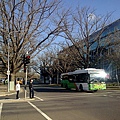 Canberra行政區街景.jpg