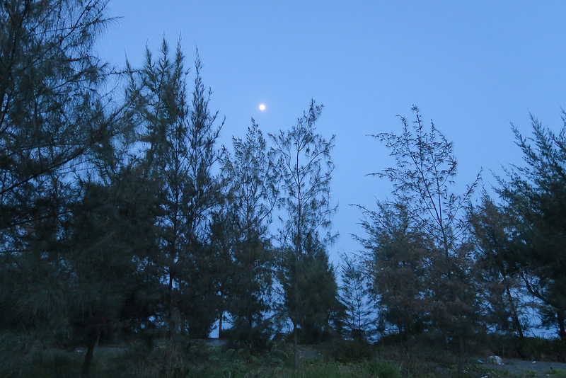 roadtrip-taiwan-TaimaliTaitung-backbacker-hostel-17docintaipei (14)