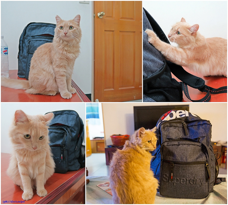 roadtrip-taiwan-TaimaliTaitung-backbacker-hostel-17docintaipei (17)