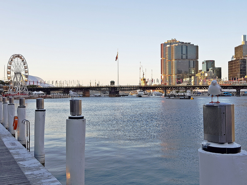 雪梨-景點-推薦-達令港-Sydney-DarlingHarbour-17docintaipei-travel-Australia (6)