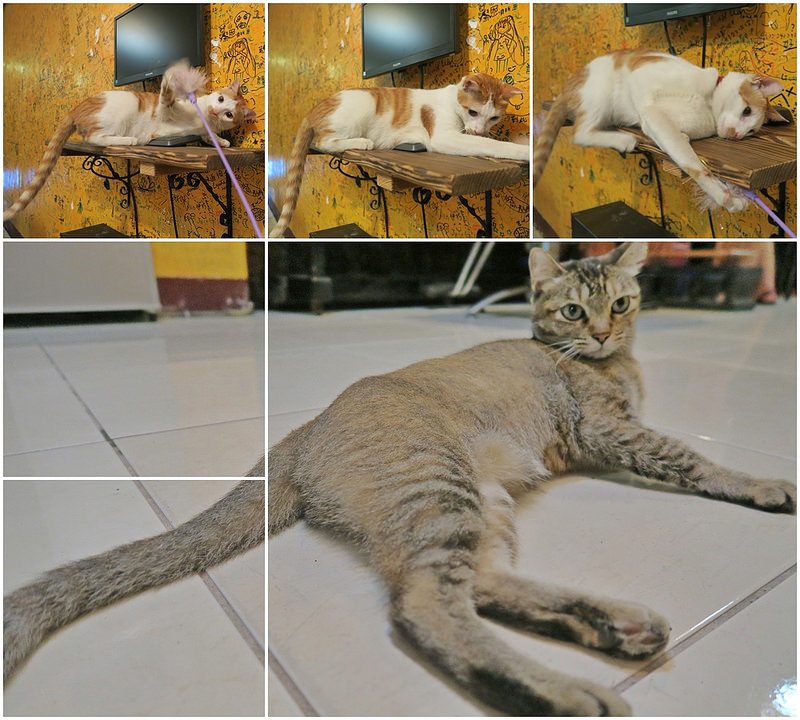 travel-kenting-taiwan-hostel-17docintaipei (2)