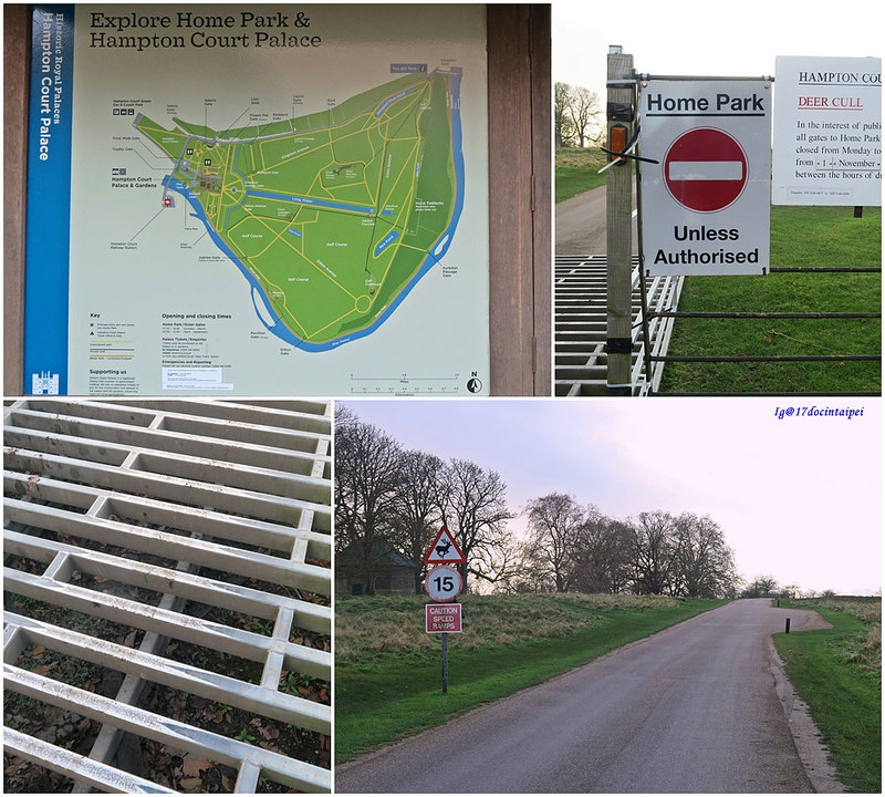 Travel-lonton-HamptonCourtPark-Kingston-17docintaipei- (6)