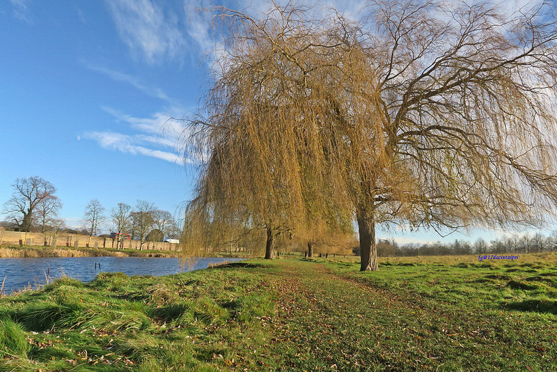 Travel-lonton-HamptonCourtPark-Kingston-17docintaipei- (1)