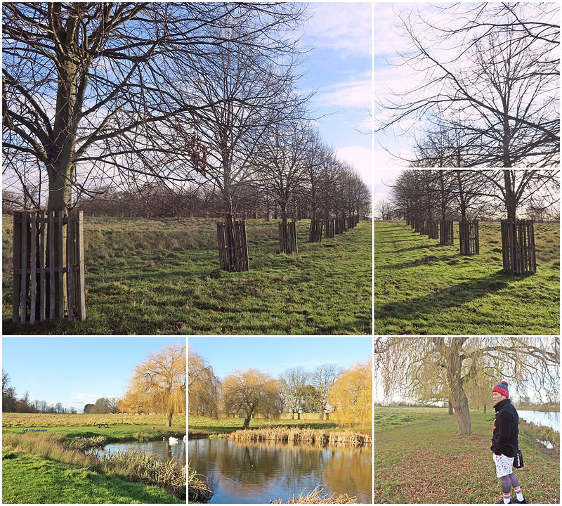 Travel-lonton-HamptonCourtPark-Kingston-17docintaipei- (17)