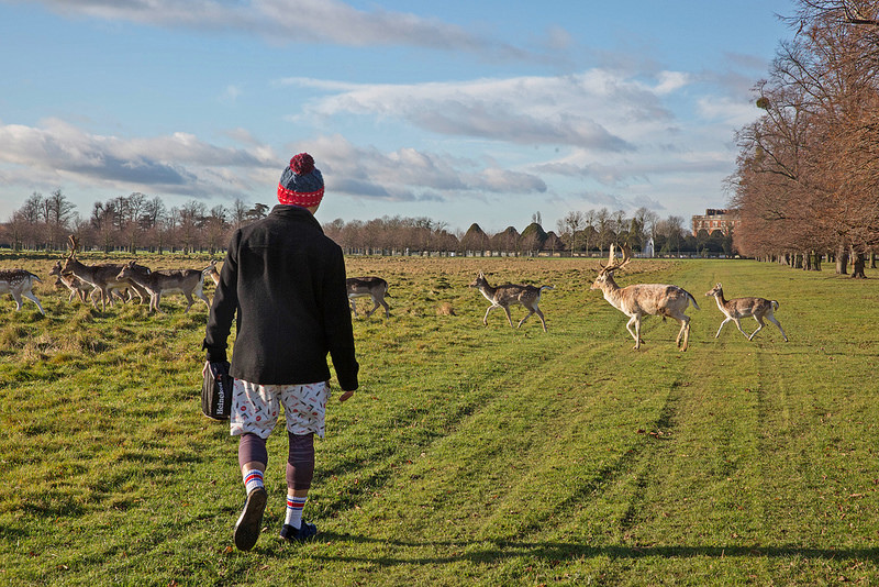 Travel-lonton-HamptonCourtPark-Kingston-17docintaipei- (16)