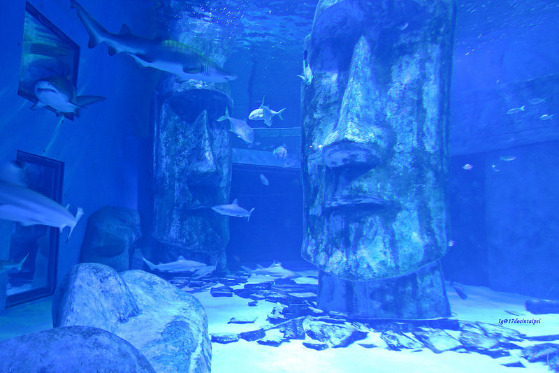 SEALIFELondon Aquarium-KLOOK客路-17docintaipei (10)