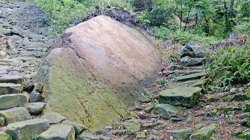 TAIPEI-bush walking-台北郊山健行-內湖金面山剪刀石-17度C隨拍 (5)