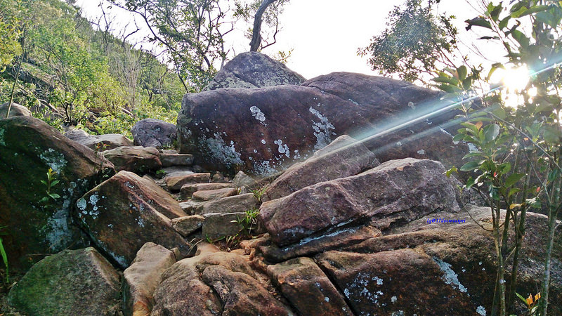 TAIPEI-bush walking-台北郊山健行-內湖金面山剪刀石-17度C隨拍 (11)