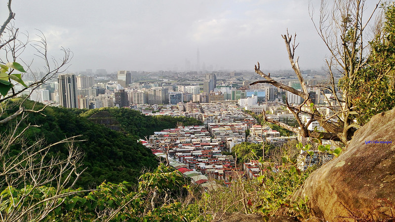 TAIPEI-bush walking-台北郊山健行-內湖金面山剪刀石-17度C隨拍 (12)