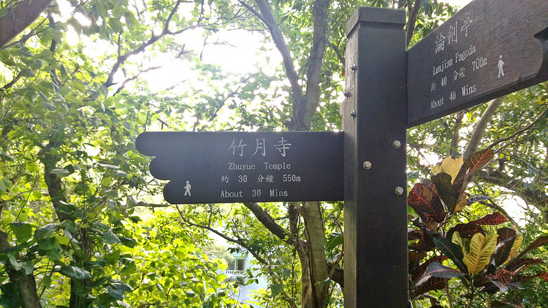 TAIPEI-bush walking-台北郊山健行-內湖金面山剪刀石-17度C隨拍 (36)