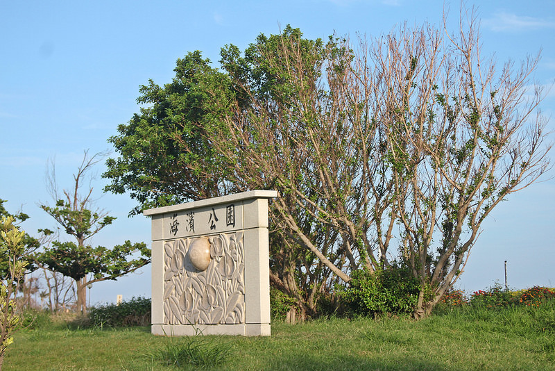 初見台東。鐵花村與台東海濱公園-17度C隨拍 (14)