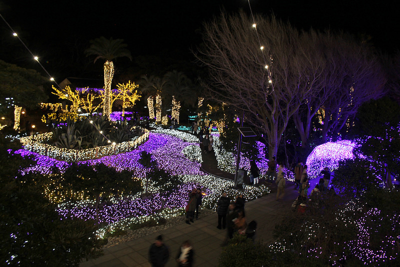 travel-japan-湘南の宝石- (20)