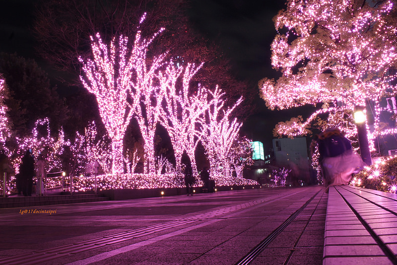 Travel-tokyo-東京浪漫城市-17度c隨拍-新宿 (8)