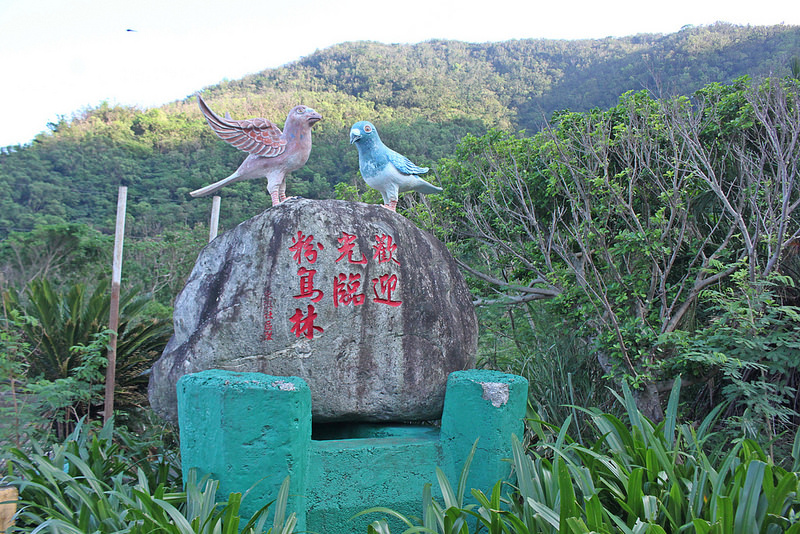 環島秘境景點-粉鳥林-蘇花公路休憩景點-17度c環島推薦 (33)