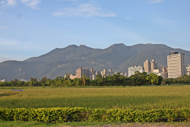 TAIPEI-北投淡水一日遊-17度C隨拍 -農禪寺 (8)