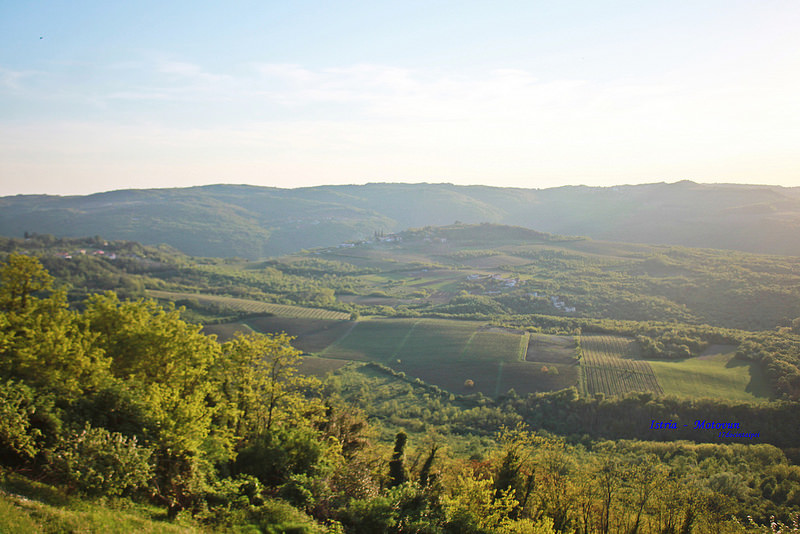 istria-Motovun-克羅埃西亞-17度c隨拍 (4)