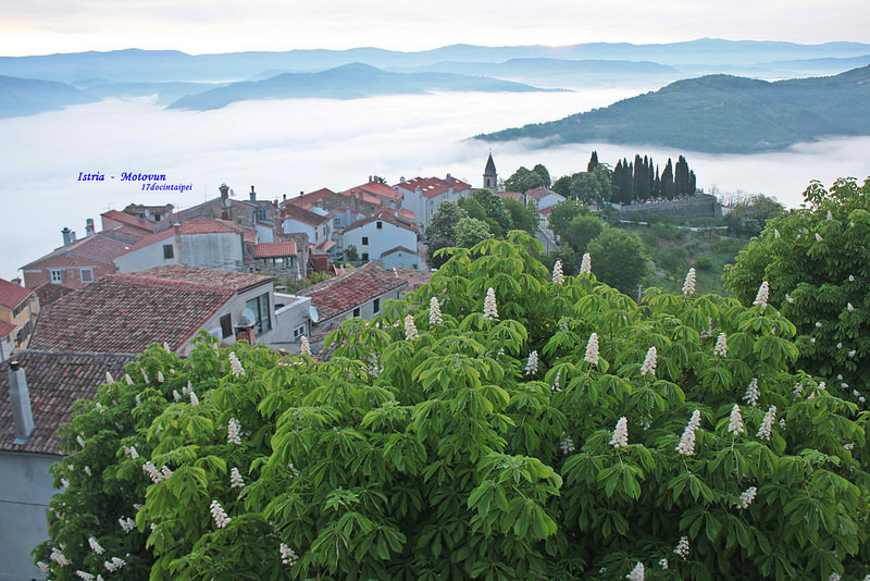 istria-Motovun-克羅埃西亞-17度c隨拍 (115)