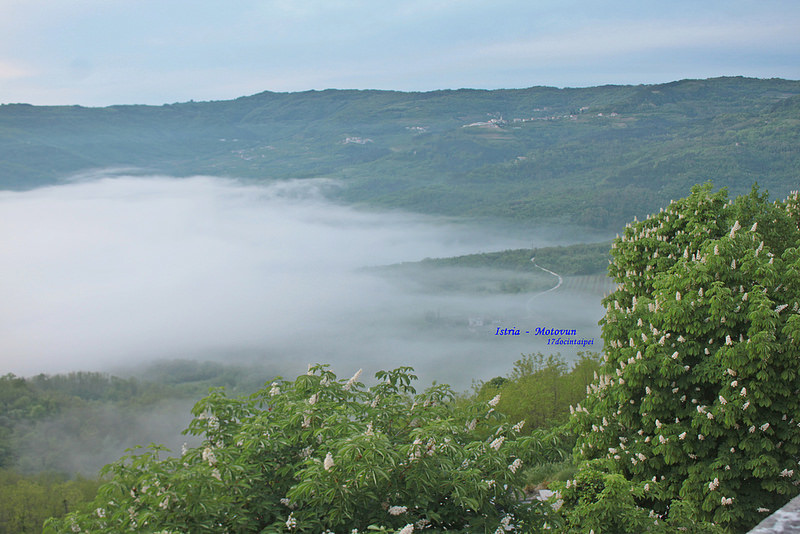 istria-Motovun-克羅埃西亞-17度c隨拍 (114)