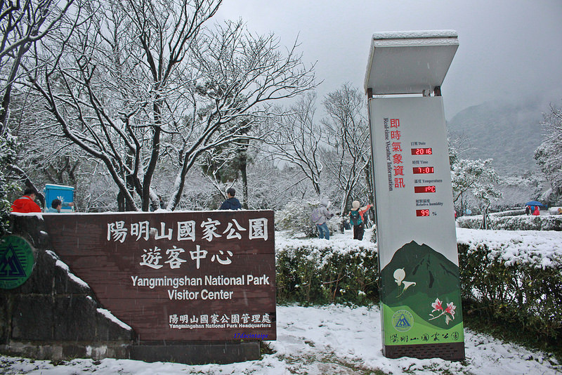 2016-台北陽明山-瑞雪-難得一見的雪白山景-17度C隨拍 (25)