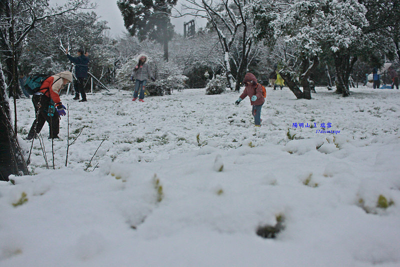 2016-台北陽明山-瑞雪-難得一見的雪白山景-17度C隨拍 (28)