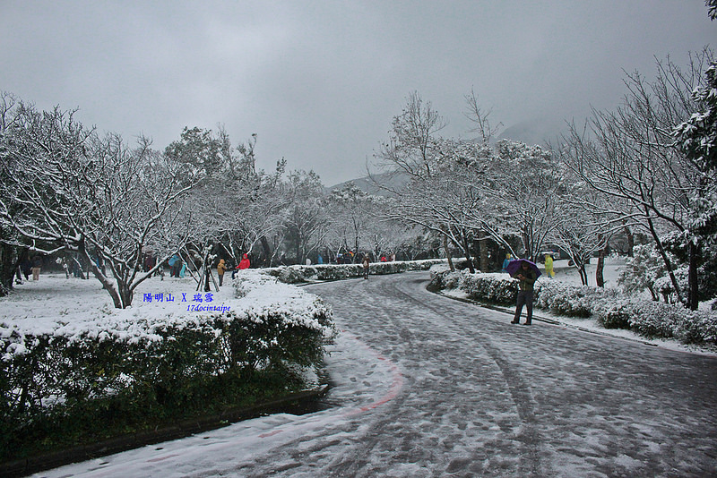 2016-台北陽明山-瑞雪-難得一見的雪白山景-17度C隨拍 (27)