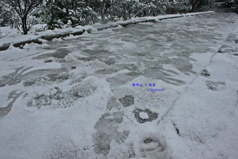 2016-台北陽明山-瑞雪-難得一見的雪白山景-17度C隨拍 (30)