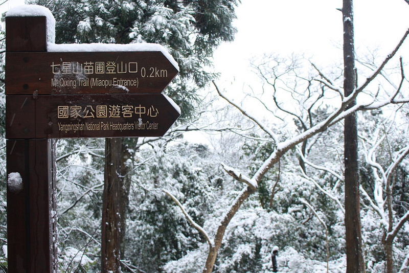 2016-台北陽明山-瑞雪-難得一見的雪白山景-17度C隨拍 (53)