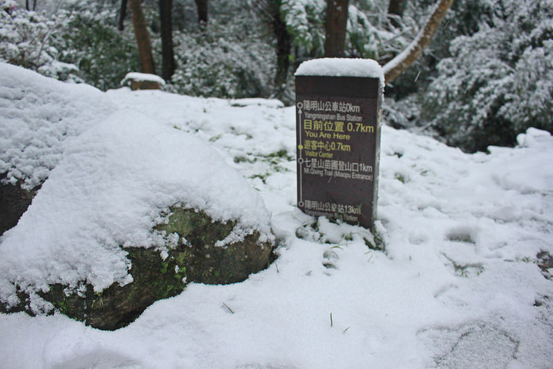 2016-台北陽明山-瑞雪-難得一見的雪白山景-17度C隨拍 (54)