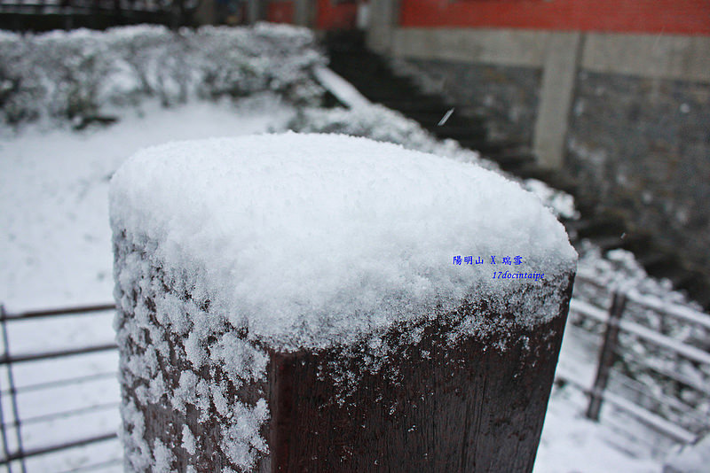 2016-台北陽明山-瑞雪-難得一見的雪白山景-17度C隨拍 (48)