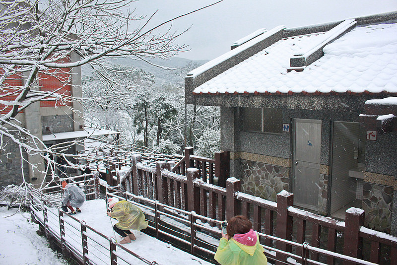 2016-台北陽明山-瑞雪-難得一見的雪白山景-17度C隨拍 (47)