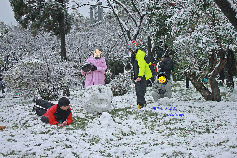 2016-台北陽明山-瑞雪-難得一見的雪白山景-17度C隨拍 (94)