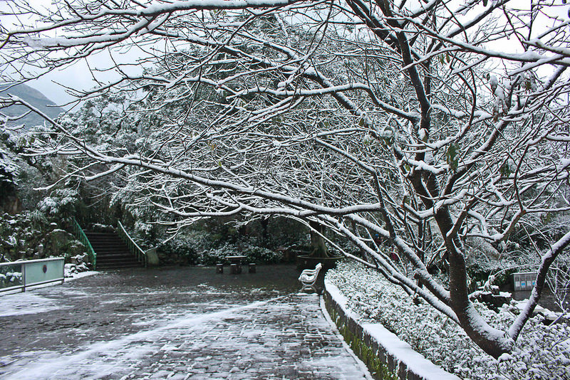 2016-台北陽明山-瑞雪-難得一見的雪白山景-17度C隨拍 (102)