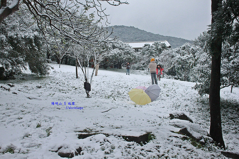 2016-台北陽明山-瑞雪-難得一見的雪白山景-17度C隨拍 (56)