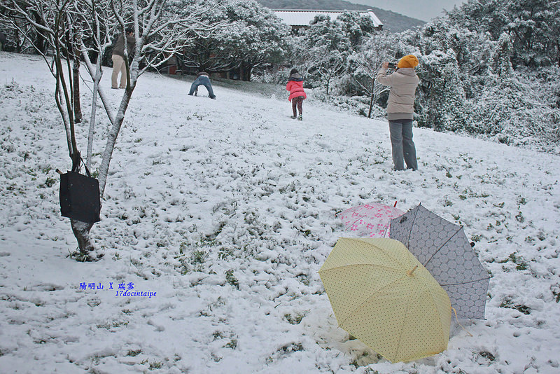 2016-台北陽明山-瑞雪-難得一見的雪白山景-17度C隨拍 (57)