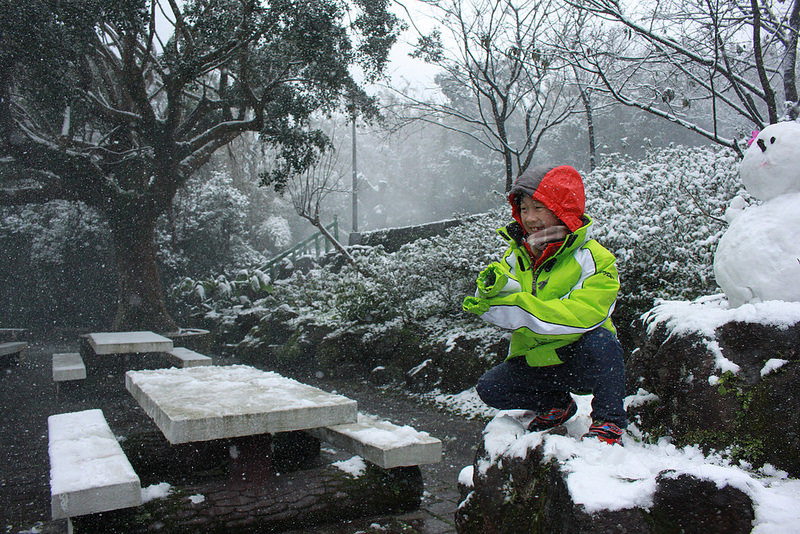 2016-台北陽明山-瑞雪-難得一見的雪白山景-17度C隨拍 (131)