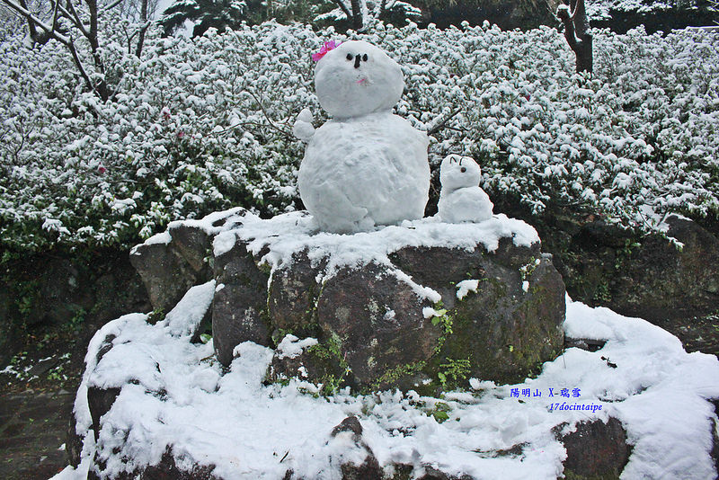 2016-台北陽明山-瑞雪-難得一見的雪白山景-17度C隨拍 (126)