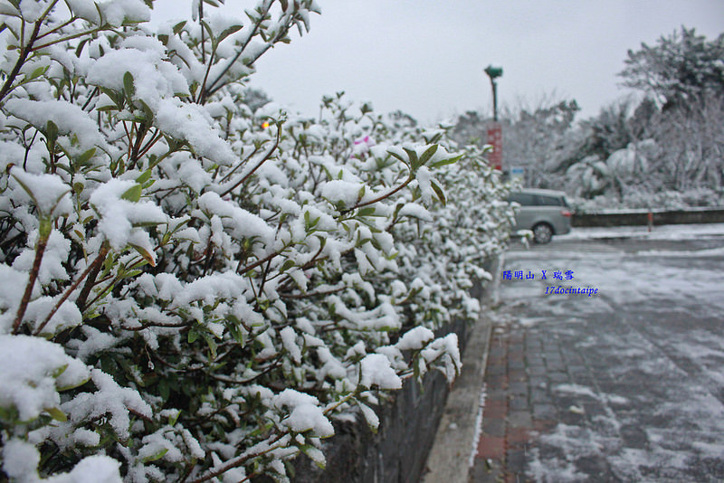 2016-台北陽明山-瑞雪-難得一見的雪白山景-17度C隨拍 (35)