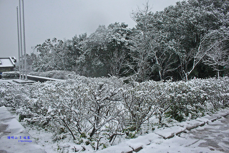 2016-台北陽明山-瑞雪-難得一見的雪白山景-17度C隨拍 (29)