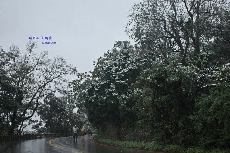 2016-台北陽明山-瑞雪-難得一見的雪白山景-17度C隨拍 (22)