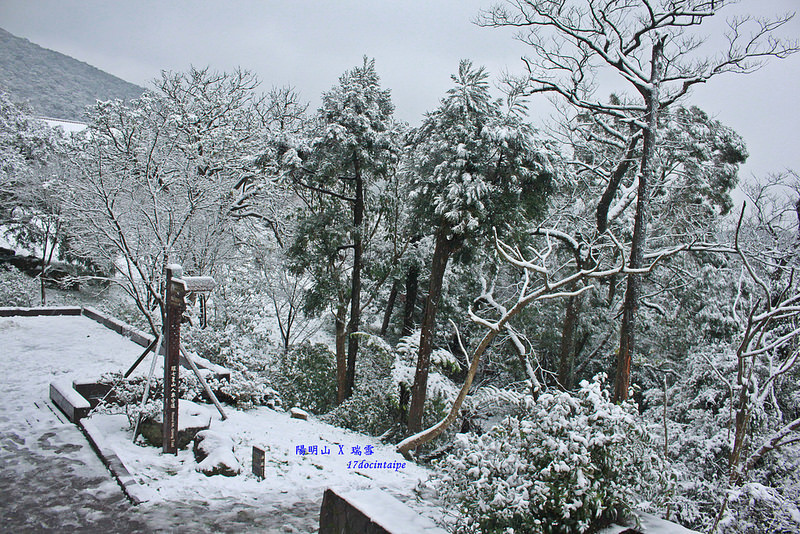 2016-台北陽明山-瑞雪-難得一見的雪白山景-17度C隨拍 (50)