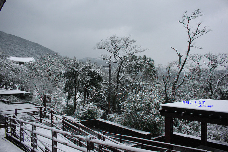 2016-台北陽明山-瑞雪-難得一見的雪白山景-17度C隨拍 (49)