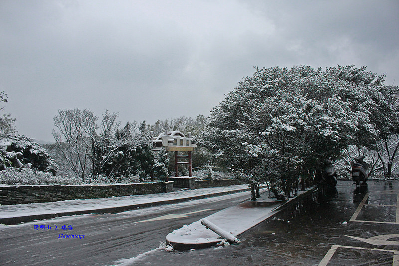 2016-台北陽明山-瑞雪-難得一見的雪白山景-17度C隨拍 (37)