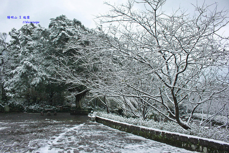 2016-台北陽明山-瑞雪-難得一見的雪白山景-17度C隨拍 (106)