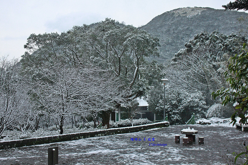 2016-台北陽明山-瑞雪-難得一見的雪白山景-17度C隨拍 (115)